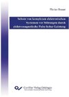 Schutz von komplexen elektronischen Systemen vor Störungen durch elektromagnetischen Pulse hoher Leistung