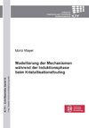 Modellierung der Mechanismen während der Induktionsphase beim Kristallisationsfouling