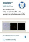 Analysis and improvement of the in vitro transfection efficiency of plasmid-DNA encoding for equine IL-12 used for melanoma therapy in horses