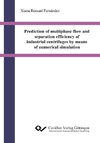 Romaní Fernández, X: Prediction of multiphase flow and separ