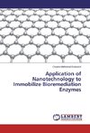 Application of Nanotechnology to Immobilize Bioremediation Enzymes