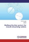 Multiparticultes system for mouth dissolving tablets