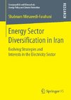 Energy Sector Diversification in Iran