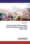 Sparse Signal Processing and Compressed Sensing Recovery