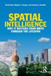 Spatial Intelligence