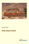 Eine Sinai-Fahrt