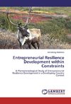 Entrepreneurial Resilience Development within Constraints