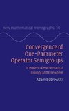 Convergence of One-parameter Operator Semigroups