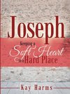 Joseph - Keeping a Soft Heart in a Hard Place