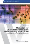 Methoden zur Qualitätsbewertung von Self-organizing Maps (SOM)