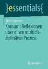 Konsum: Reflexionen über einen multidisziplinären Prozess