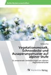 Vegetationsmosaik, Schneedecke und Ausaperungsmuster auf alpiner Stufe