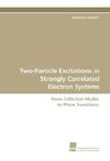 Two-Particle Excitations in Strongly Correlated Electron Systems