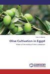 Olive Cultivation in Egypt