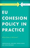 Eu Cohesion Policy in Practice