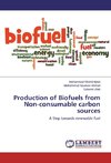 Production of Biofuels from Non-consumable carbon sources