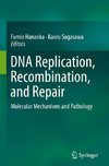 DNA Replication, Recombination, and Repair