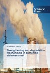 Strengthening and degradation mechanisms in austenitic stainless steel