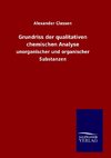 Grundriss der qualitativen chemischen Analyse