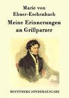 Meine Erinnerungen an Grillparzer