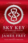 Endgame: Sky Key