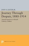 Journey Through Despair, 1880-1914