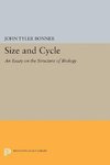 Size and Cycle