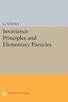 Invariance Principles and Elementary Particles