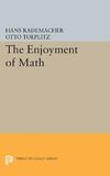 Enjoyment of Mathematics