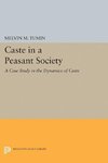 Caste in a Peasant Society