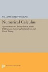 Numerical Calculus