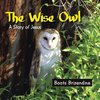 The Wise Owl