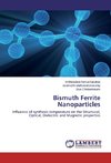 Bismuth Ferrite Nanoparticles