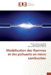 Modélisation des flammes et des polluants en micro combustion