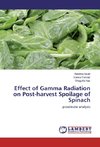 Effect of Gamma Radiation on Post-harvest Spoilage of Spinach