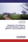 Response of cadmium-stressed Brassica rapa to gamma rays & potassium