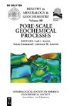 Pore Scale Geochemical Processes