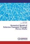 Numerical Model of Pollution Transport Through Porous Media