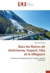 Sous les Ruines de Séchilienne, l'expert, l'élu et le villageois