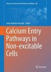 Calcium Entry Pathways in Non-excitable Cells