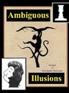 Ambiguous Illusions