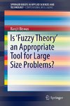 Is 'Fuzzy Theory' an Appropriate Tool for Large Size Problems?