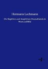 Die Reptilien und Amphibien Deutschlands in Wort und Bild