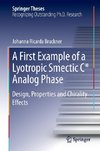 A First Example of a Lyotropic Smectic C* Analog Phase