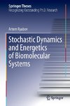 Stochastic Dynamics and Energetics of Biomolecular Systems