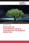 Selección de metodologías para la reproducción de Ziziphus mistol Gris