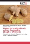 Costos de producción del cultivo de Jengibre (Zingiber officinale)