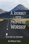 A Journey into Prophetic Worship. Book 1