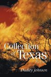 Collection of Texas Stories