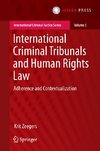 International Criminal Tribunals and Human Rights Law